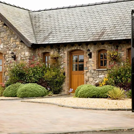 Mulberry House Villa Swansea Exterior photo